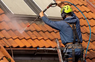 Démoussage et hydrofuge de toiture à Traînel